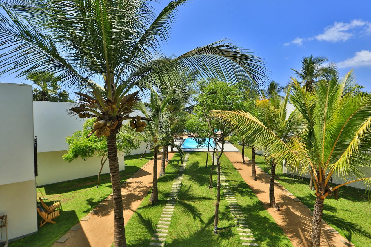 Arugambay Roccos Hotel Arugam Bay Luaran gambar